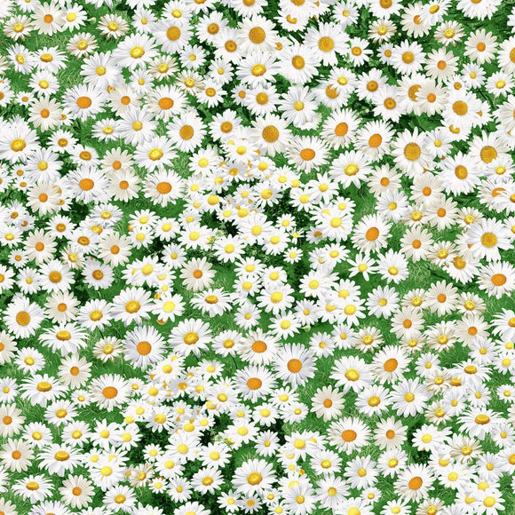 Timeless Treasures White & Yellow Daisies Premium Quality 100% Cotton Fabric sold by the yard