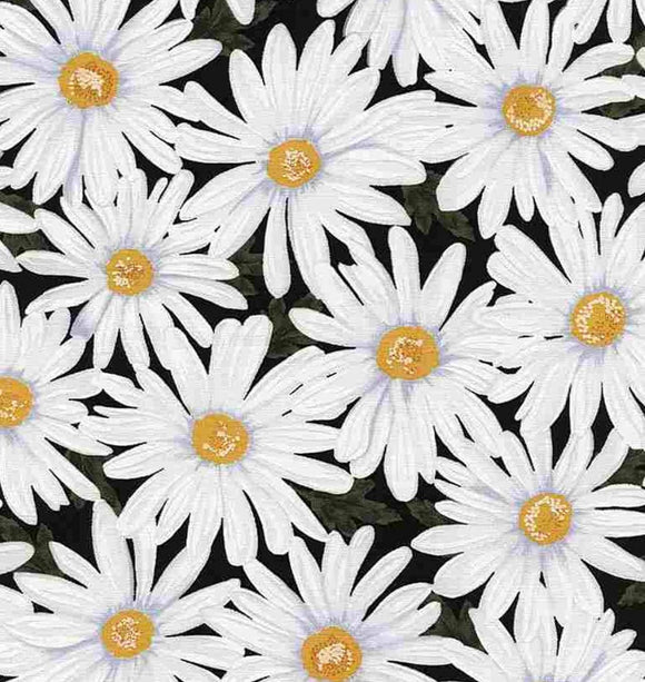 Timeless Treasures Live, Love, Laugh Black Daisies 100% Cotton Fabric sold by the yard