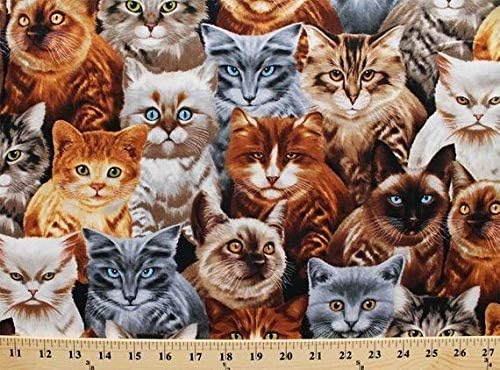 Timeless Treasures Playful Cats Kittens Premium Quality 100% Cotton Fabric sold by the yard