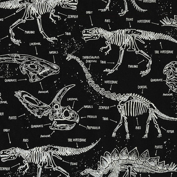 Timeless Treasures Dinosaur Fossils Black Glow in The Dark Premium Quality 100% Cotton Fabric sold by the yard