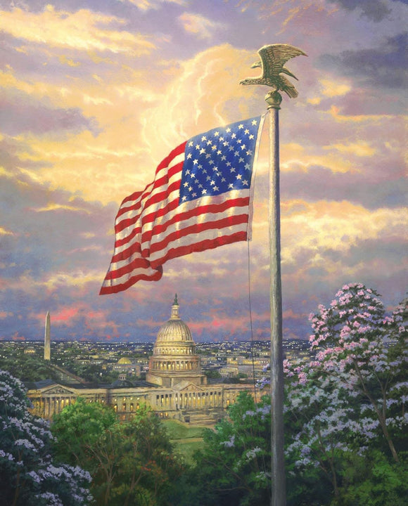 David Textiles America's Pride Panel 36x44 in Digitally Printed White House Capital Design 100% Cotton Fabric sold by the panel