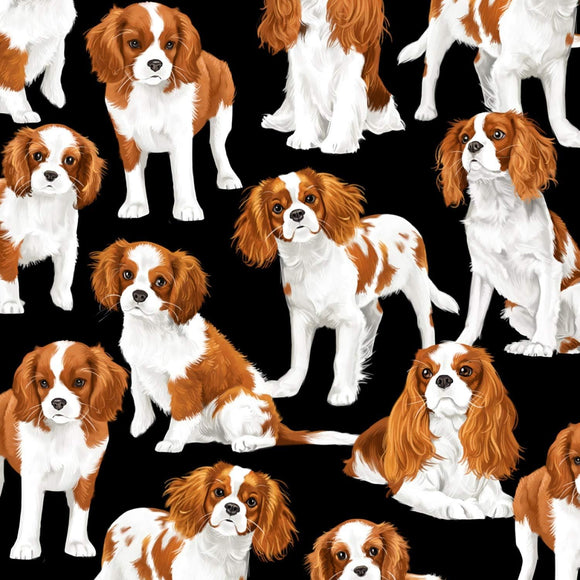 Timeless Treasures Dog Show Cavalier King Charles Spaniels Cute Black Premium Quality 100% Cotton Fabric sold by the yard