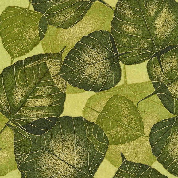 Timeless Treasures Fabrics Autumn Palette Olive Leaves 100% Cotton Fabric sold by the yard