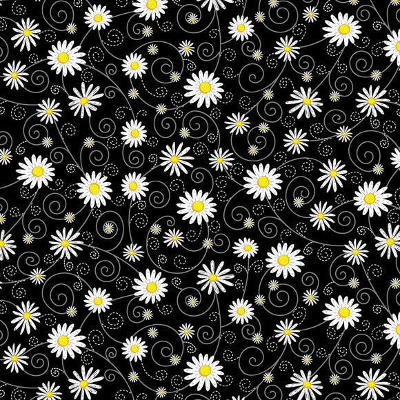 Timeless Treasures Daisies in Black Premium Quality 100% Cotton Fabric sold by the yard