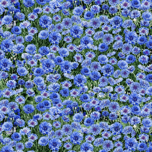 Timeless Treasures Blue Cornflowers Premium Quality 100% Cotton Fabric sold by the yard