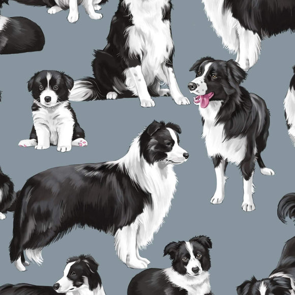 Timeless Treasures Dog Show Border Collies Premium Quality 100% Cotton Fabric sold by the yard