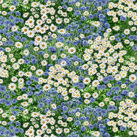 Timeless Treasures Daisies and Cornflowers Cotton 100% Cotton Fabric sold by the yard