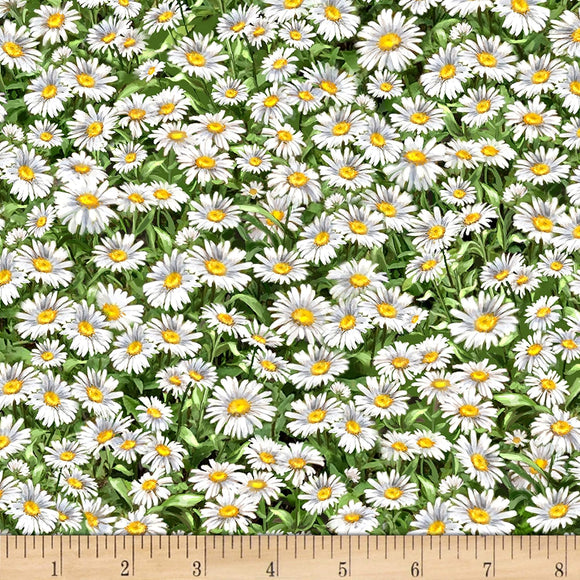 Timeless Treasures Peaceful Garden Packed Daisies Multi 100% Cotton Fabric sold by the yard
