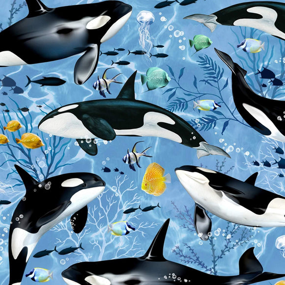 Timeless Treasures Swimming Killer Whales Premium Quality 100% Cotton Fabric sold by the yard