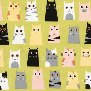 Timeless Treasures Cat Fabric - Box Cats - Olive 100% Cotton Fabric sold by the yard