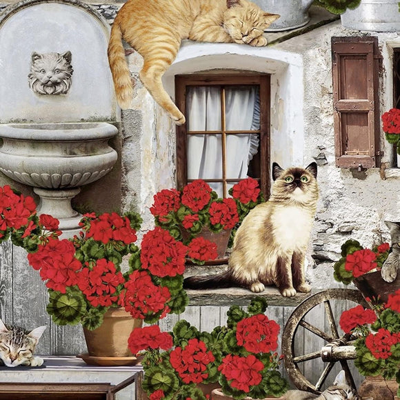 Timeless Treasures Porch Cats & Geraniums Multicolor Premium Quality 100% Cotton Fabric by The Yard.