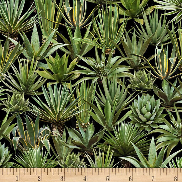 Timeless Treasures Desert Trip Agave Black 100% Cotton Fabric sold by the yard